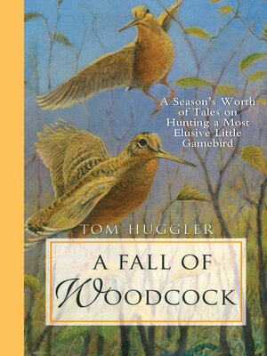A Fall of Woodcock: a Season's Worth of Tales on Hunting a Most Elusive Little Game Bird - ebook